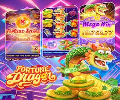 wild bet777 wild bet777