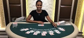 wild bet777 wild bet777